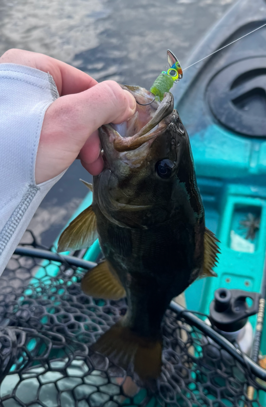 Deadly Ned (Grubby Green)