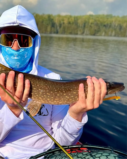 Deadly Ned (Yucky Yellow)