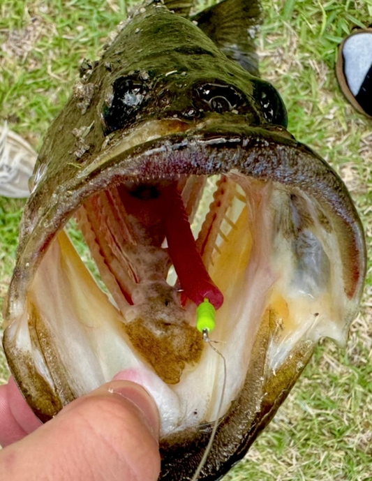 Deadly Ned (Pungent Pink)