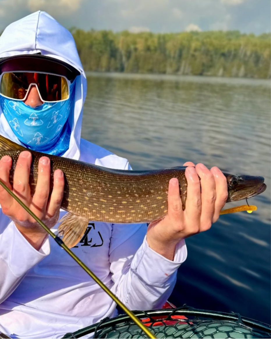 Deadly Ned (Yucky Yellow)