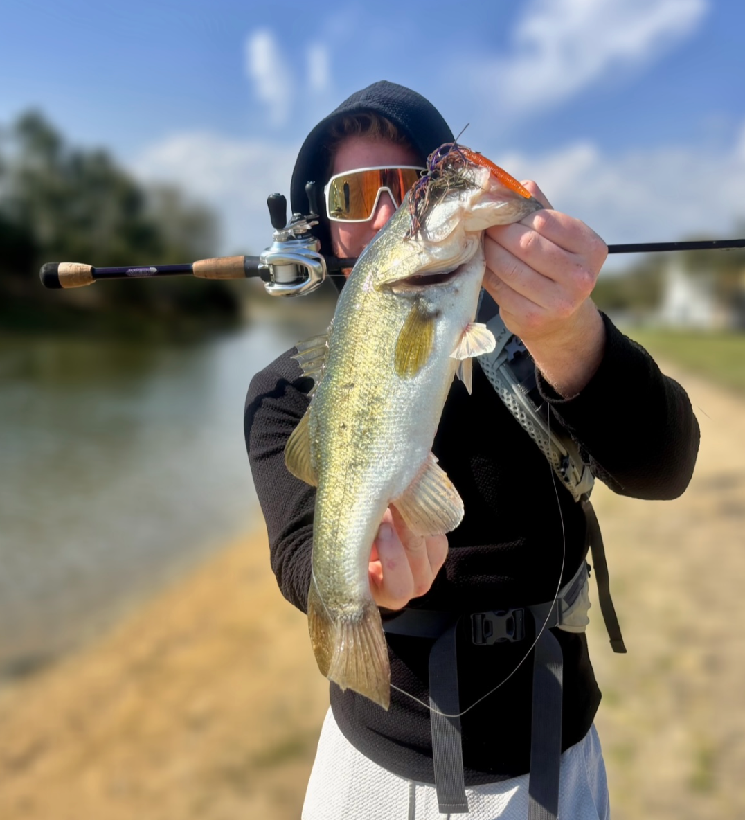 Super Bundle - FL Bass (5 Pack)
